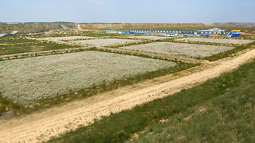 维多利亚老品牌vic(集团)官方网站