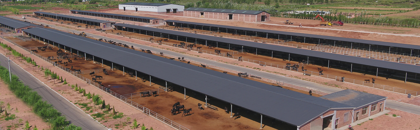 维多利亚老品牌vic(集团)官方网站