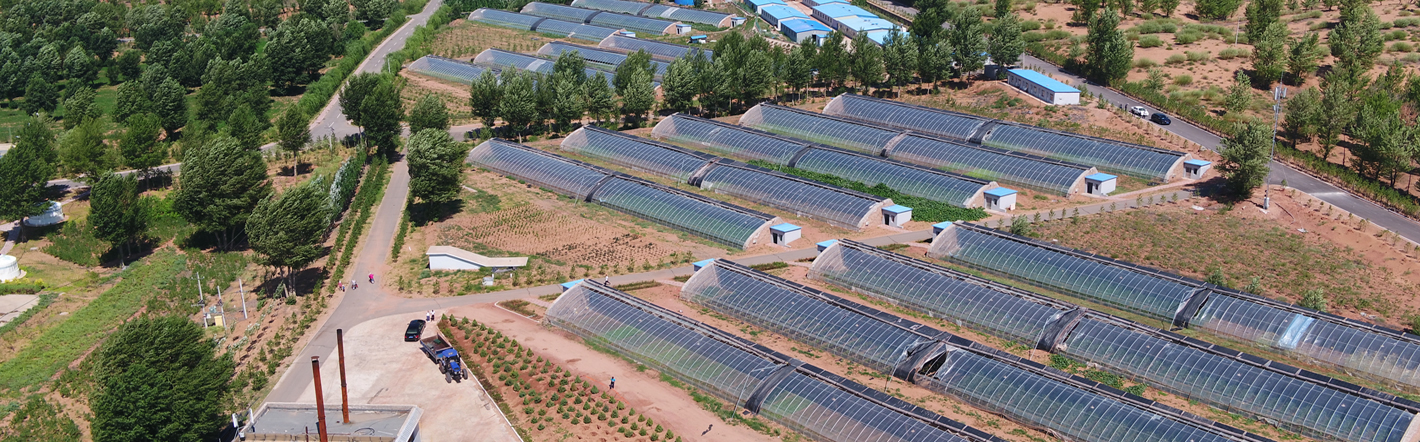 维多利亚老品牌vic(集团)官方网站