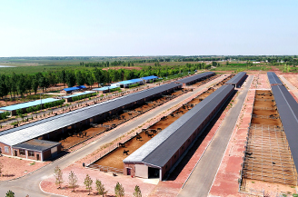 维多利亚老品牌vic(集团)官方网站